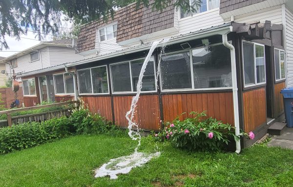 Gutter Cleaning and Repair