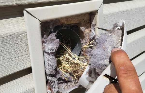 Handyman Services and Much more…